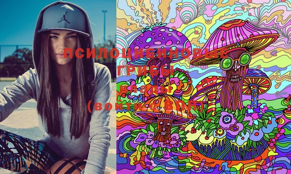 марки lsd Вязьма