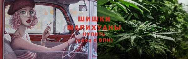 спайс Вяземский